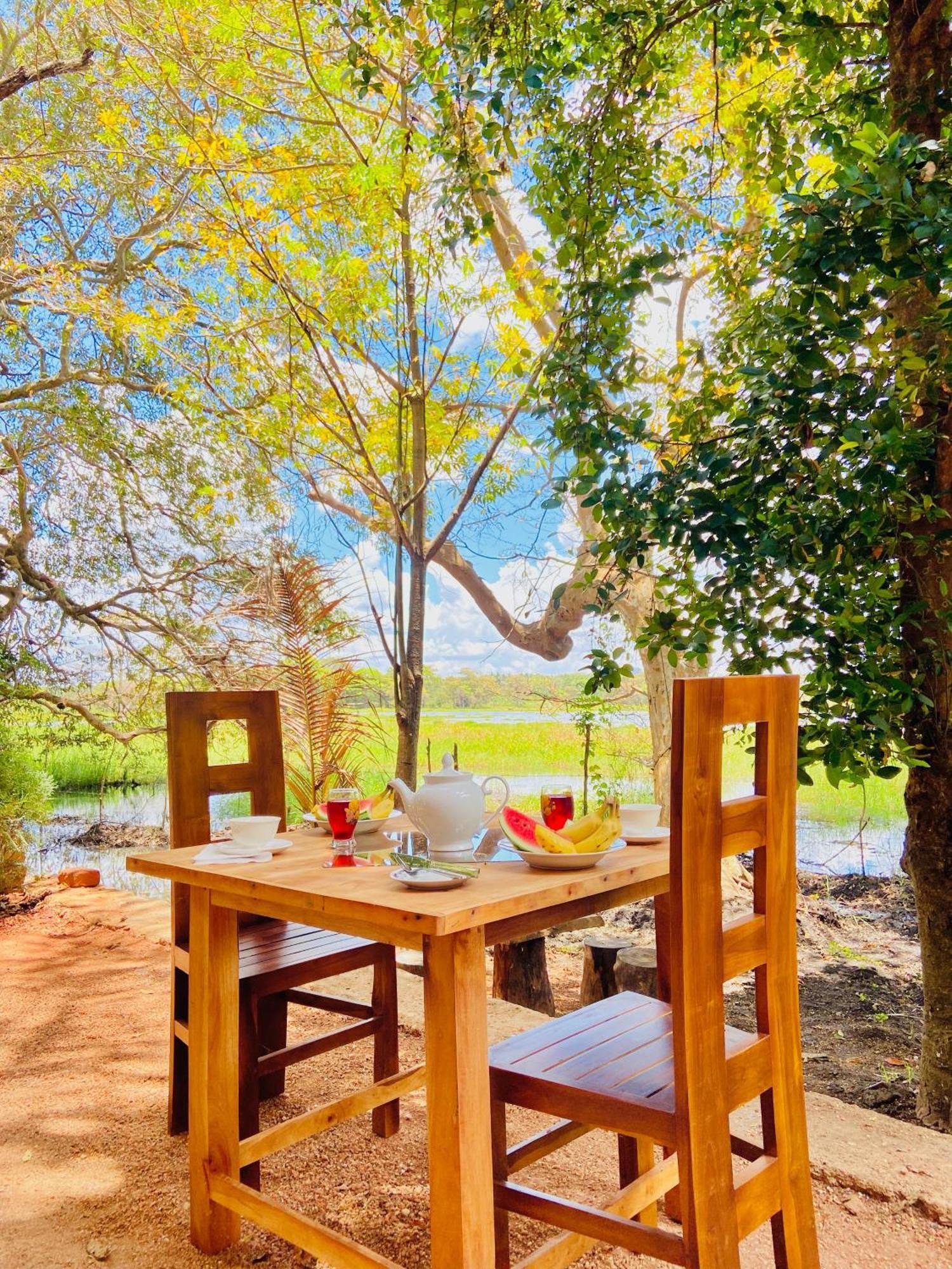 Nature Lotus Villa Dambulla Εξωτερικό φωτογραφία