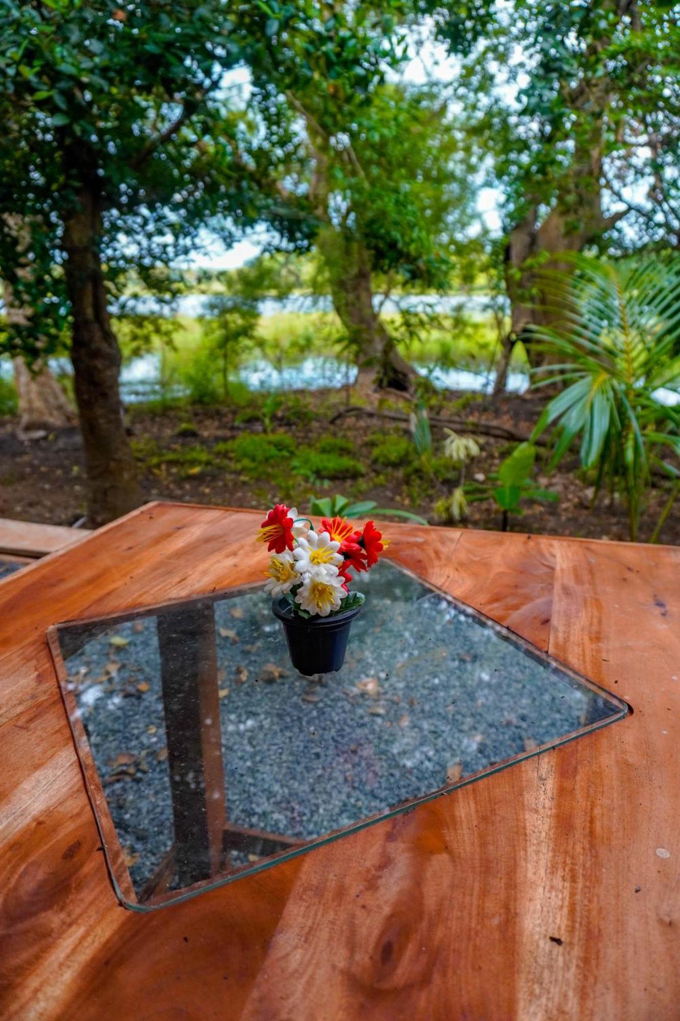 Nature Lotus Villa Dambulla Εξωτερικό φωτογραφία
