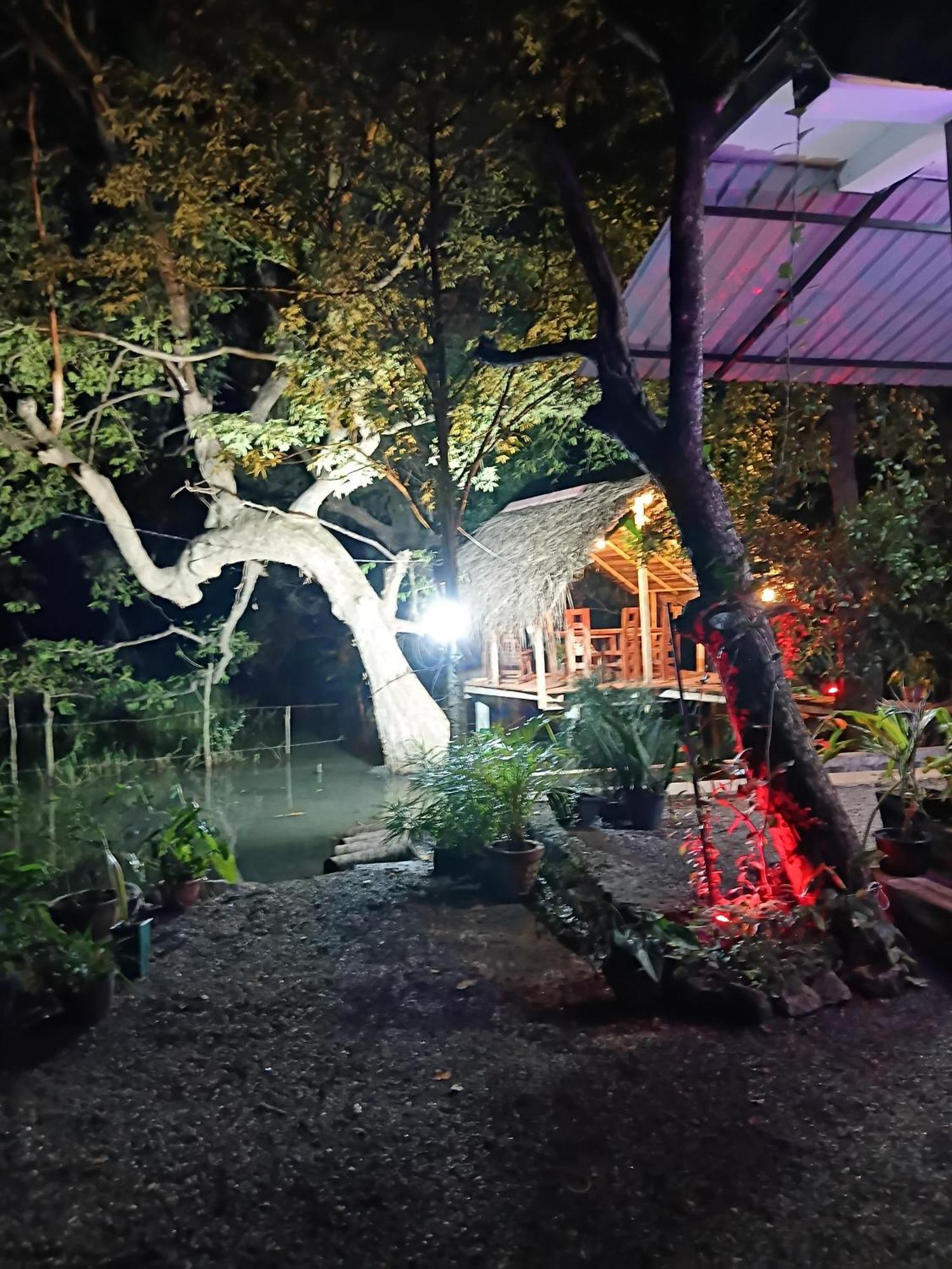 Nature Lotus Villa Dambulla Εξωτερικό φωτογραφία