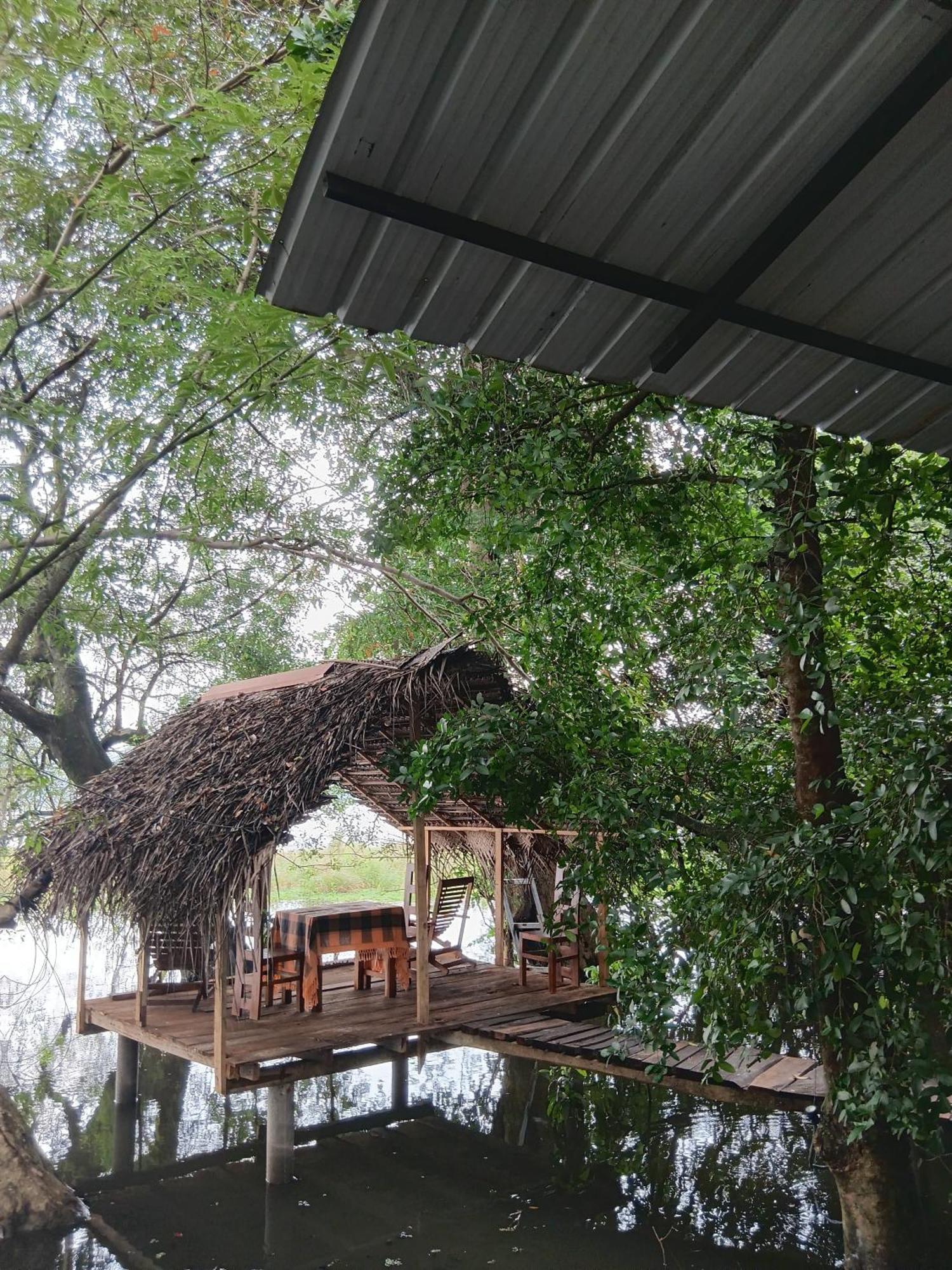 Nature Lotus Villa Dambulla Εξωτερικό φωτογραφία
